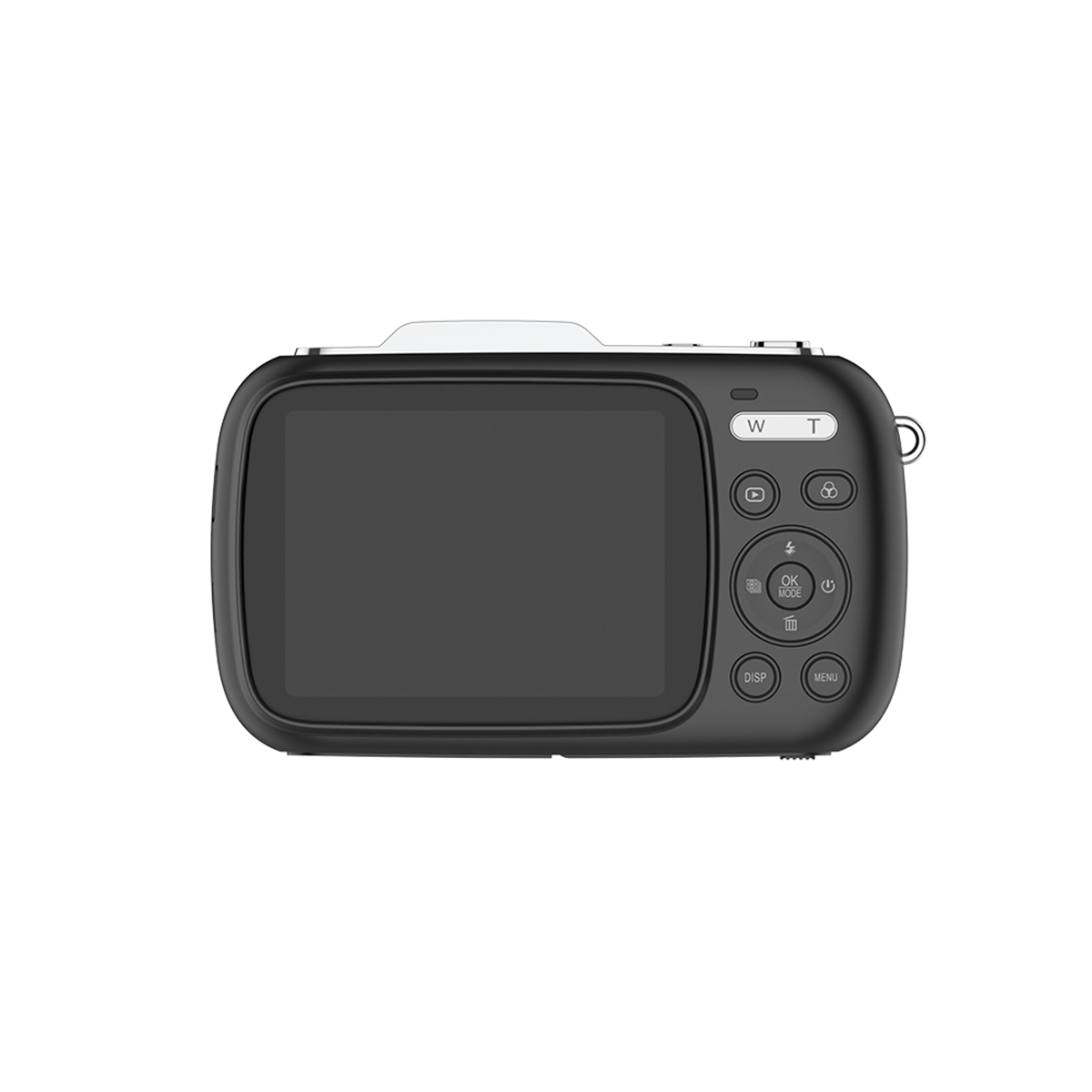 ZV100 Digital Camera