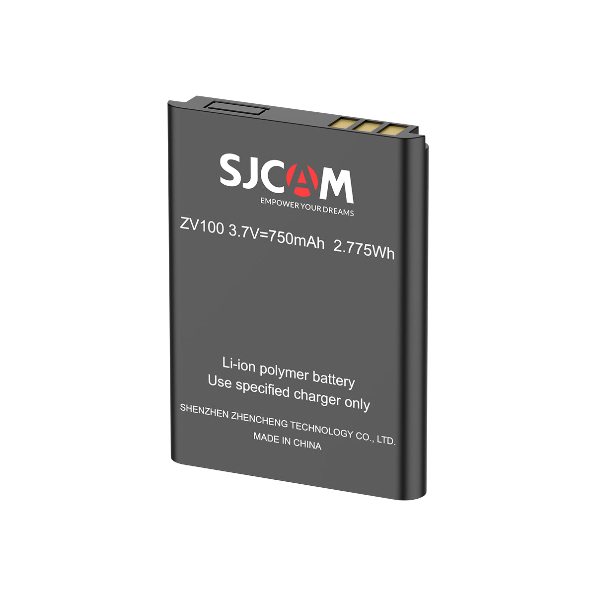 Batterie rechargeable ZV100