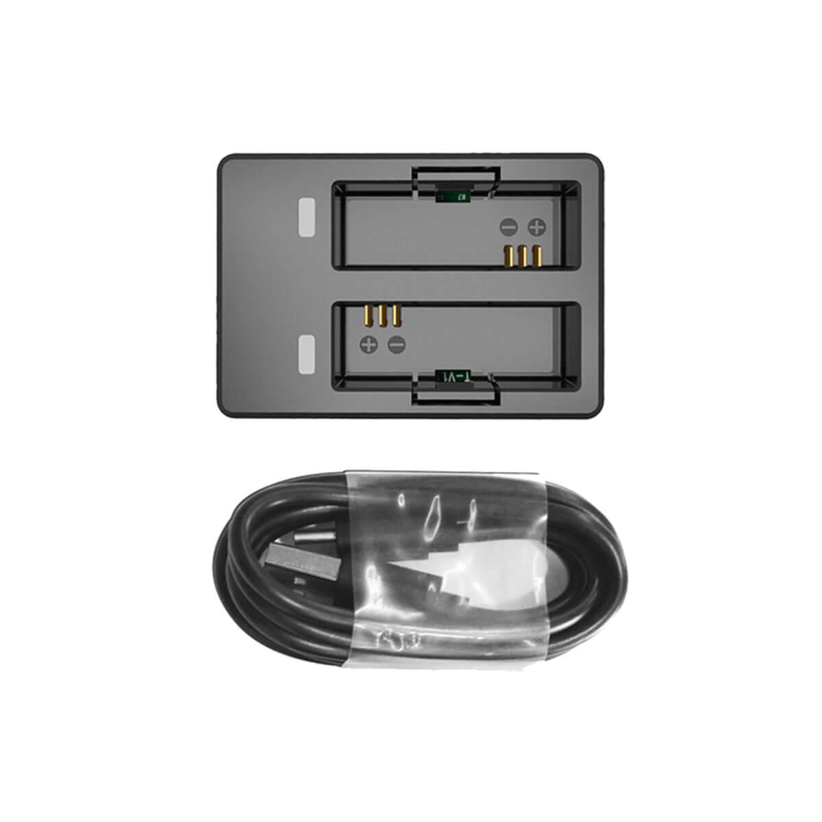 dual slot battery charger