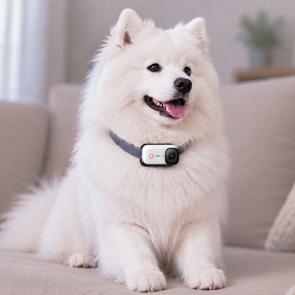 magnetic pet chest strap for dog